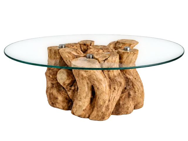 Root Essence Coffee Table